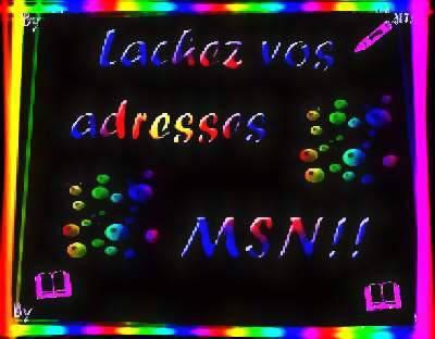 LACHEZ VOS BLOG VOS ADRESS MSN 